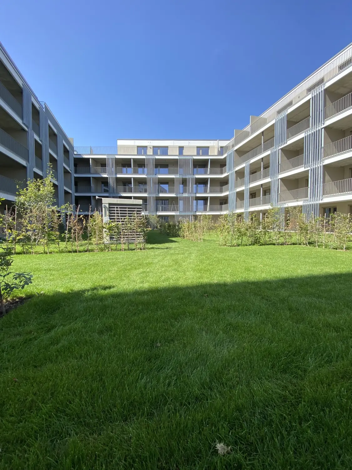 Karipov UG, Bauprojekt, Gebäude mit grünem Rasen
